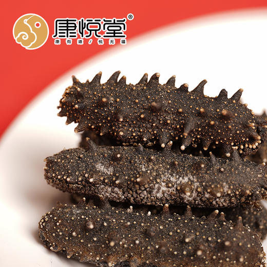 【康悦堂·康品辽渤参】大连纯淡干辽刺参  泡发率高  无添加 无激素 健康参 商品图2