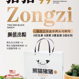 熊猫猪猪端午礼盒99型