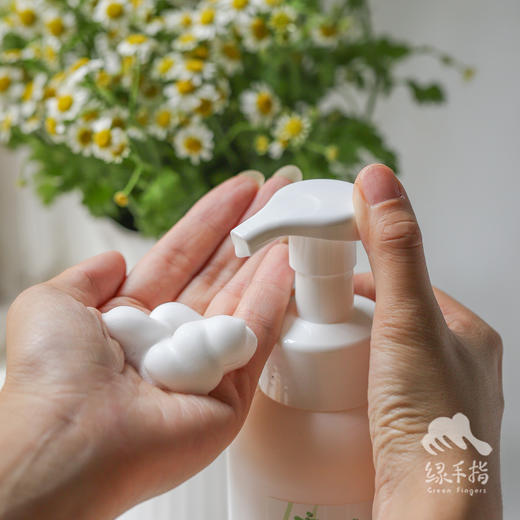 柠檬草洗手液 | 合作生产*Lemongrass hand sanitizer | Coproduction 商品图1