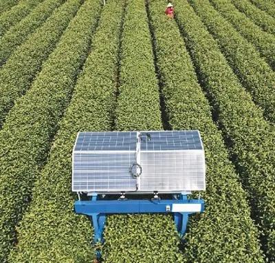 机器人“采茶工” 商品图0