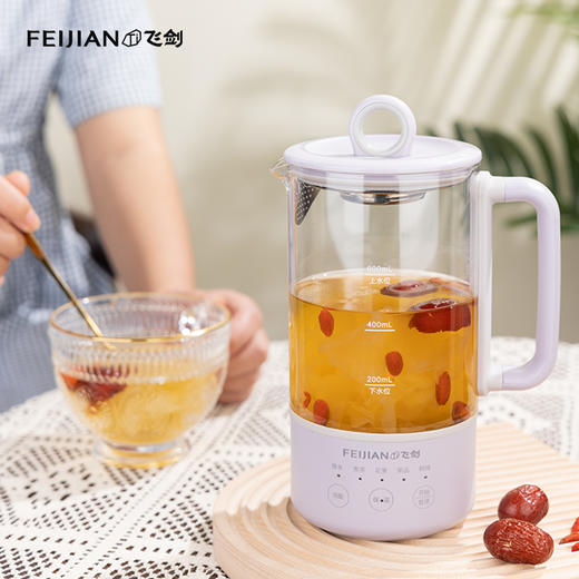 飞剑纯钛mini电热养生壶（FJ8001） 商品图1