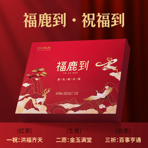贝叶集端午茶叶礼盒装特级浓香型云南古树滇红茶生普洱茶白毫银针 商品图3