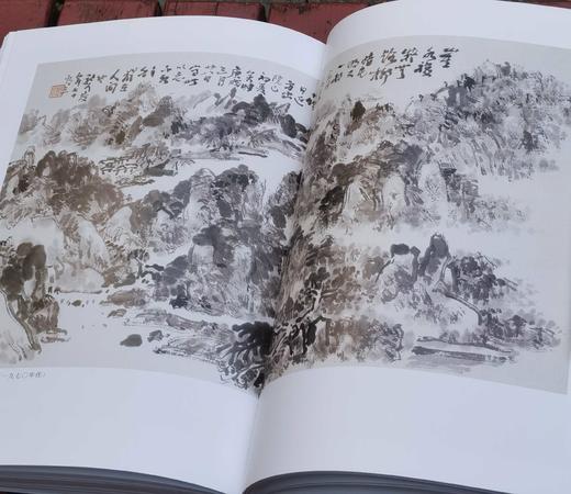 《林散之书画集》，精装，16开，文物出版社2003年版，297页，定价300，售价148元。 商品图6