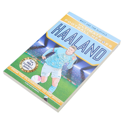 【中商原版】足球英雄系列 哈兰德收集 Haaland Ultimate Football Heroes Collect them all 英文原版 Matt Oldfield 商品图2