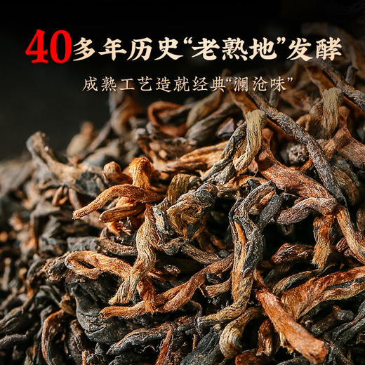 澜沧古茶2024年古木香6年陈（18年压制）云南普洱茶老熟茶礼盒装150g 商品图4