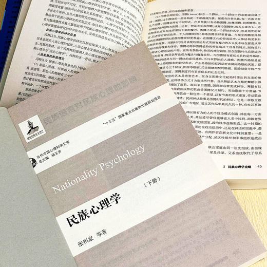 民族心理学 上下2册 当代中国心理科学文库 张积家 高等院校心理学 人类学 民族学专业 商品图4