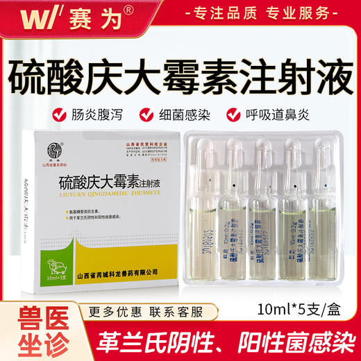 兽药硫酸庆大霉素注射液针剂猪犬猫宠物拉稀肠炎腹泻血便肺炎兽药 商品图0