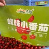 玲珑圣女果 1斤 （小果） 商品缩略图6