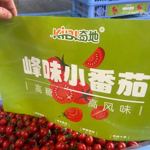 玲珑圣女果 1斤 （小果） 商品图6