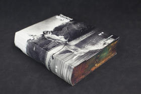 马良《永无岛》摄影集刷边本