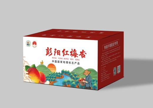 【预售】固原 彭阳 红梅杏（仅发省内） 商品图1