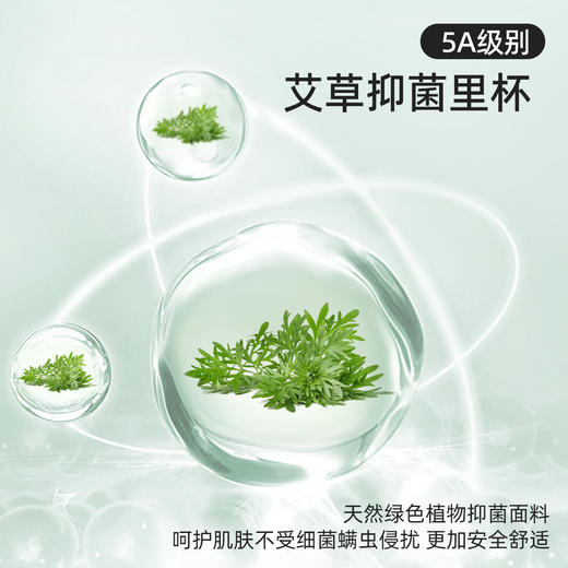 【无侧骨无钢圈】熳洁儿 小胸专属舒适聚拢5A艾草抑菌里杯花卉蕾丝内衣承托侧收副乳调整文胸24261538 商品图2