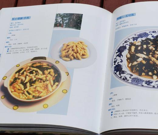 《滇菜大系》精装2厚册 12开本铜版彩印 商品图13