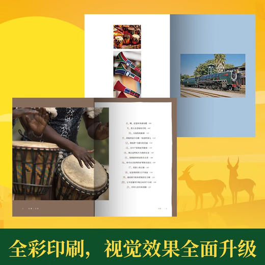非洲三万里（作家毕淑敏旅行散文代表作，对非洲风土人情的亲身体验和实地考察，直面贫困和抗争，狮子和荒野，原始和现代，痛苦和幸福） 商品图4