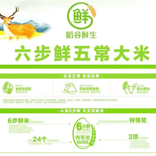 金龙鱼六步鲜五常大米5kg/袋 商品图4