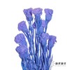 永生花材 | 康乃馨紫 商品缩略图3