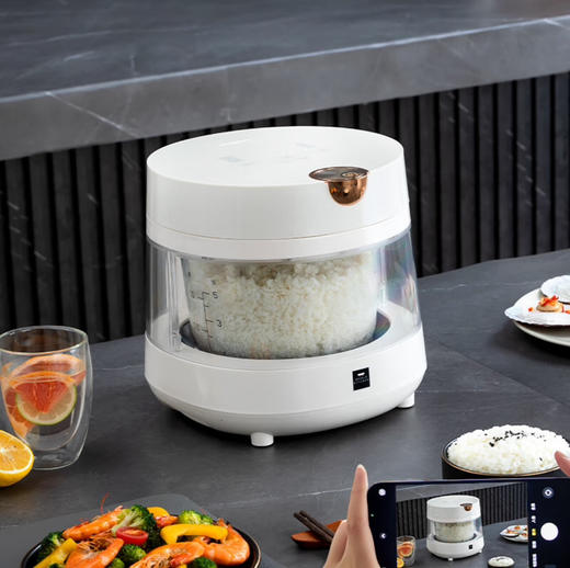 康宁可视玻璃胆电饭煲+康宁多功能料理锅 商品图0