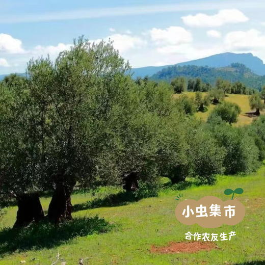 【限时85折】德米特有机特级初榨橄榄油 250ml/500ml | 合作农友生产，来自西班牙，生产者：芬卡拉托蕾Finca La Torre &【公平贸易农人定价】 商品图5