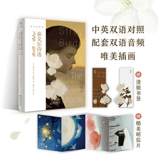 【新东方】泰戈尔诗选：飞鸟集·新月集 咸鱼中下游绘 双语彩绘版 英语英文诗歌 文学诗集外国诗歌名著英美文学诗集书籍 诺贝尔文学奖 郑振铎 商品图2