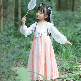 小嫒记 楠橘襦裙