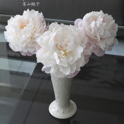 进口品种Gardenia栀子芍药花 商品图5