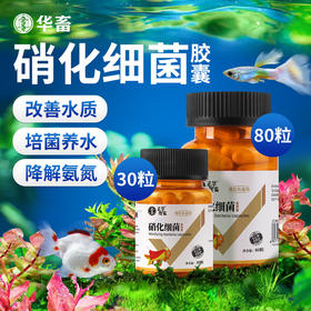 华畜硝化细菌鱼缸用专用胶囊净水剂活菌干粉水质稳定净化水族鱼用