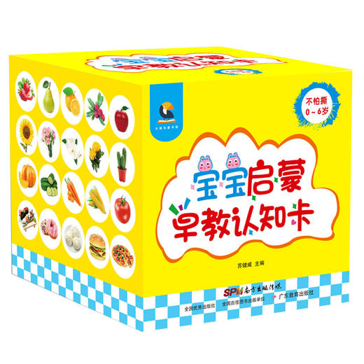 0-3岁专享：翻翻书+洞洞书+认知卡 商品图3