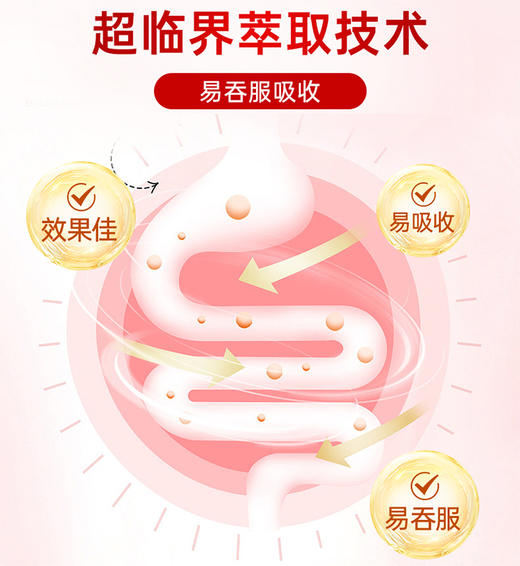 EZZ 纳豆素   60粒/瓶【2026.2】 商品图4