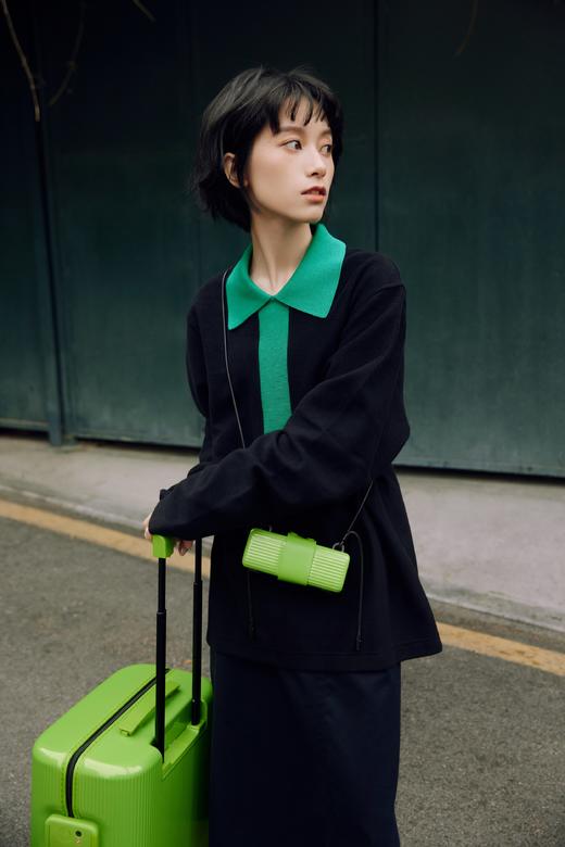 ITO PISTACHIO GLASSES CASE便携挂绳墨镜太阳镜眼镜盒 商品图0