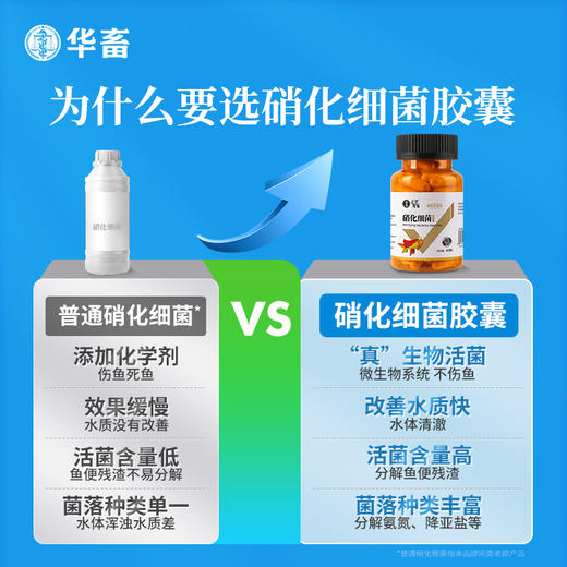 华畜硝化细菌鱼缸用专用胶囊净水剂活菌干粉水质稳定净化水族鱼用 商品图1