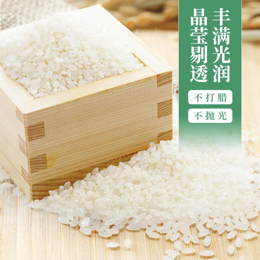 【内蒙古帮扶】定丰农场 蒙优沙漠大米  5kg 商品图2