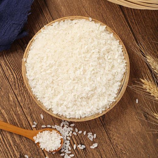 金龙鱼六步鲜雪乡长粒香5kg/袋 商品图4