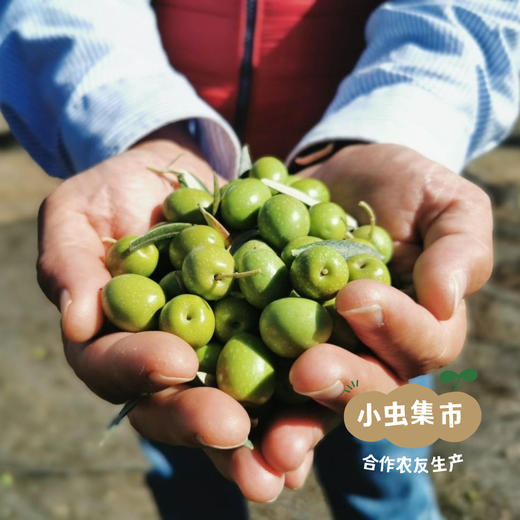 【限时85折】德米特有机特级初榨橄榄油 250ml/500ml | 合作农友生产，来自西班牙，生产者：芬卡拉托蕾Finca La Torre &【公平贸易农人定价】 商品图6
