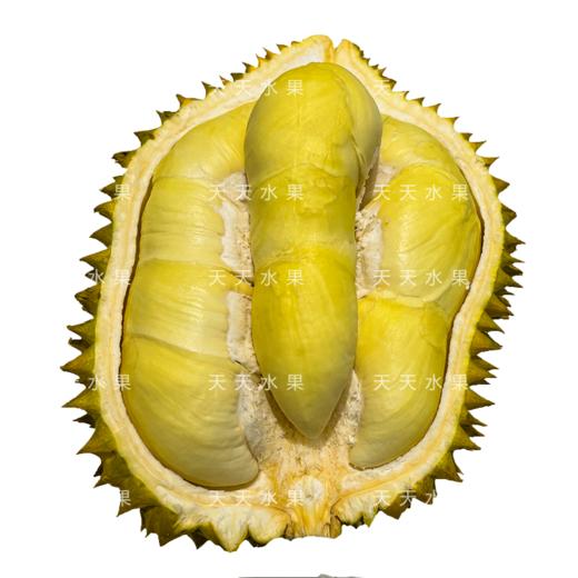 金凤树熟金枕榴莲   29.9元一斤 大黄肉小核 商品图8