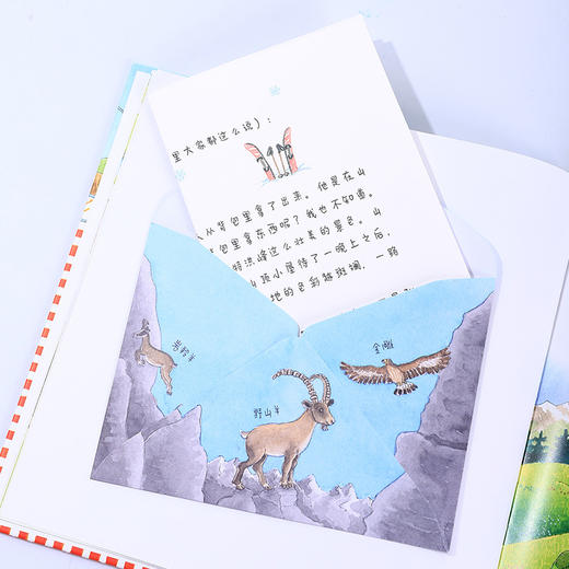 新书上市 爱旅行的小兔菲利克斯系列绘本 6本 8本 2本 套盒系列大合集 商品图8