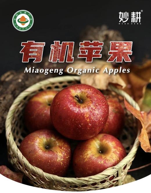 蓝苹果汁（有机蓝莓+有机苹果）纯果汁  天然果香 酸甜清爽 商品图4