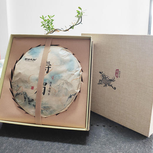 野乡风物丨白茶寿眉 340克茶饼 商品图2