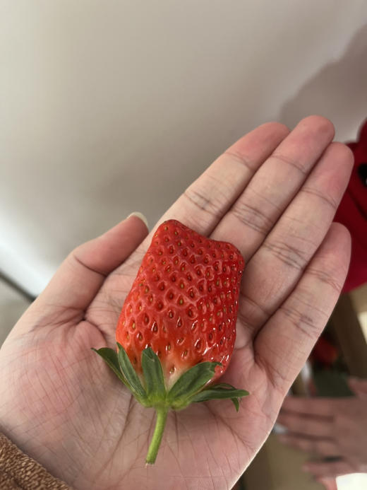 沐枫加价购测试123显色度行程单反反复复方法发发发的小狮子早上吃的吃的晚的下午茶 商品图0