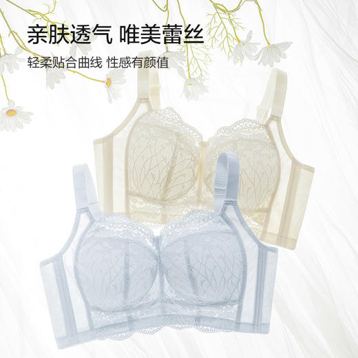 幸运四叶草薄款文胸 大胸显小无钢圈 夏日轻薄全罩杯 舒适包容显小立挺 加高侧翼加宽隐形背扣 软骨侧翼唯美蕾丝 商品图5