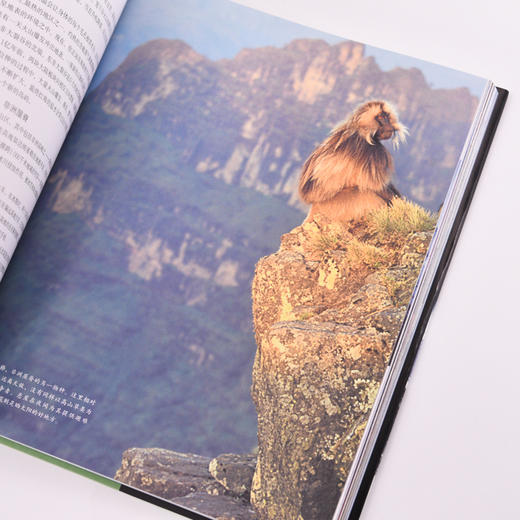 地球脉动 前所未见的自然之美 第3版 商品图1