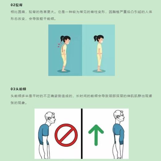 青少年体态健康科普 商品图5