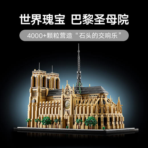 乐高LEGO 巴黎圣母院LEGC21061 商品图1