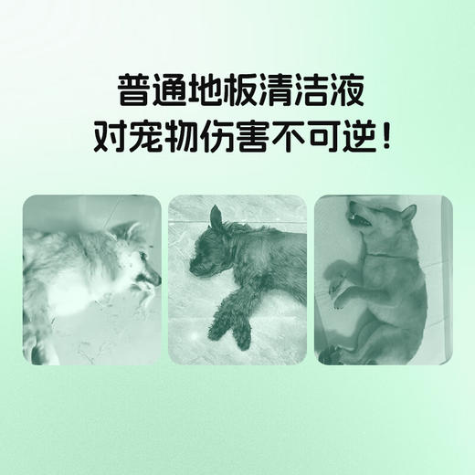 萌宠护卫地板清洁消毒液拖地宠物专用去污杀菌除臭猫咪狗狗除味无毒 【清洁祛味消毒 洗地机可用】地板消毒液-1升 商品图3