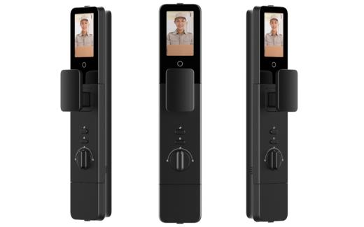 LR【德施曼麒麟Q50FVMax三摄版人脸猫眼智能门锁掌静脉智能锁密码锁】DSM 商品图1