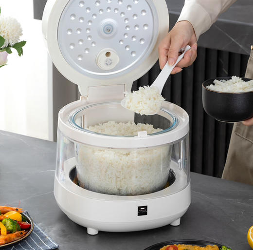 康宁可视玻璃胆电饭煲+康宁多功能料理锅 商品图3