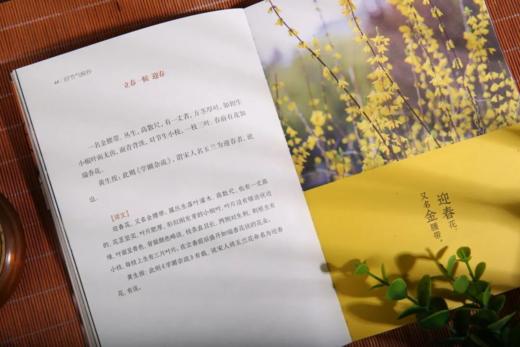 五折特惠！《时节气候抄》（全4册）| 一部关于二十四节气文化的百科全书！荟萃上百种经典，探究“二十四节气”与生活的联系 商品图7