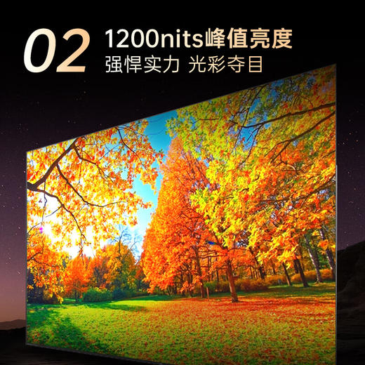 100英寸 144Hz高刷 远场智能语音电视 100G7 PRO 商品图3