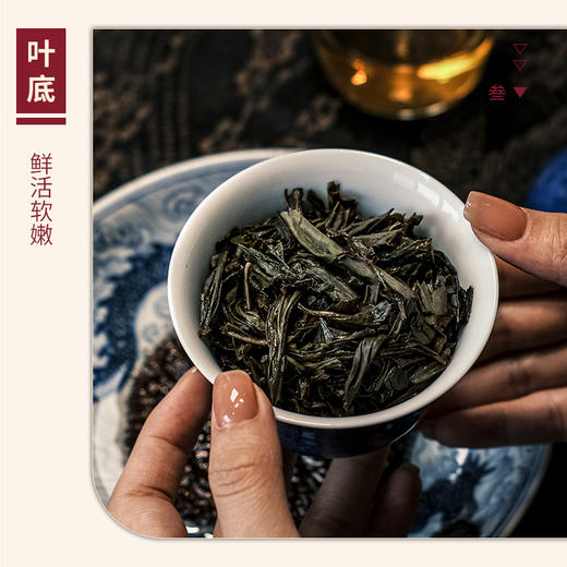 【山纯限品】（2024年）017马头岩蟠龙-老枞梅占17g 商品图4