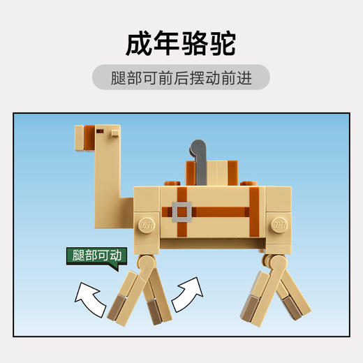 乐高LEGO 海盗船之旅LEGC21259 商品图3