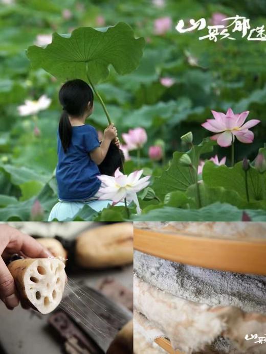 【山歌郁选】雪藕面 藕粉面条，爽滑柔软，无盐无碱，莹润洁白，久放不糊 商品图1